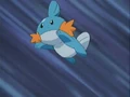 Mudkip.jpg