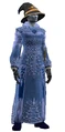 Robe of Opulent Splendor (Visible).jpg