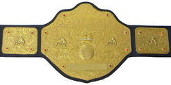 BigGoldBelt