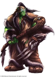 Un Orc Chaman