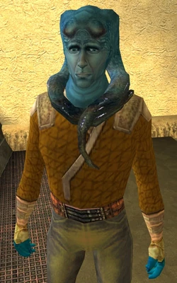 Griff Vao.jpg