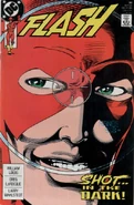 Flash 30