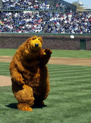 Bear.baseball