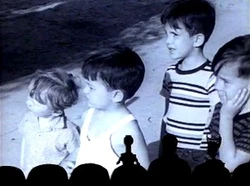Mst404