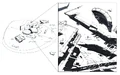Concept terrain field.jpg