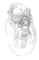 AK09 copy.JPG