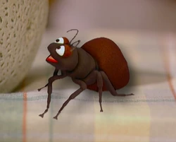 Ant-sesame