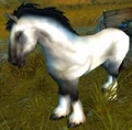 Old Blanchy.jpg