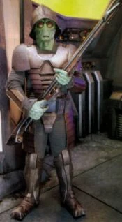 Neimoidianischer Krieger.jpg