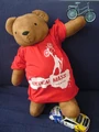 Critical mass bear.jpg