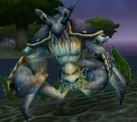 Image of Makrura Shellhide