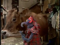 Cow&gonzo.JPG