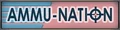 AMMUNATION3HUD.JPG