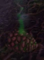Fel Cone.jpg