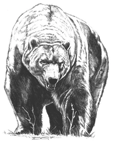 File:Direbear.JPG