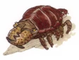 Kreetle