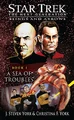 A Sea of Troubles eBook cover.jpg