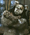 Maternal ewok.jpg