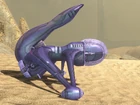 Halo-3-Banshee
