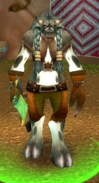 Bashana Runetotem