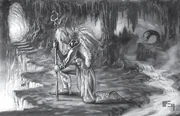 Druidsofthefang