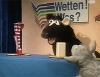 Wettenwas-socks
