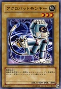 AcrobatMonkey-304-JP-C