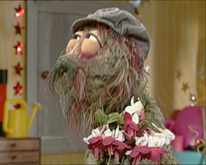 Mr.seed