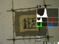 Life histo.jpg