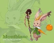 Wall FFTA2 19