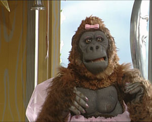 Marygorilla