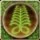 Plant domain.jpg