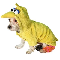 NewYorkDog.BigBird
