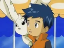 Henry and Terriermon