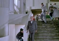 Marty-disguise-1955 2.jpg