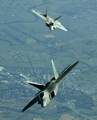 FA22 Raptors Oct2007.jpg