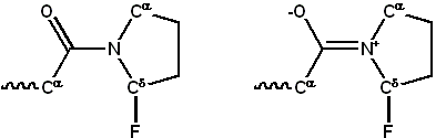 Prolyl peptide group resonance electronegative