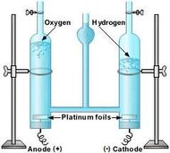 Hoffman voltameter