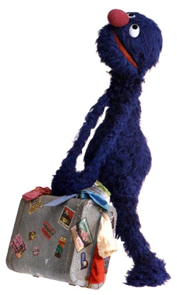 Globalgrover-suitcase.jpg