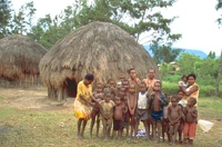 NewGuiné