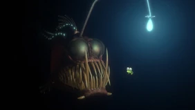 Anglerfish.jpg