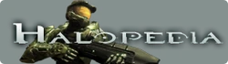 Wiki wide.png