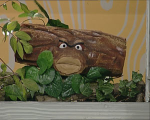 Whisplog