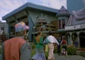 Marty-square-2015.jpg