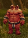 Boulderfistmage