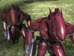 Major Elite Variations