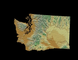Digital-elevation-map-washington