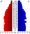 USA Grundy County, Tennessee.csv age pyramid.svg