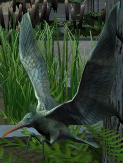 Flit.png