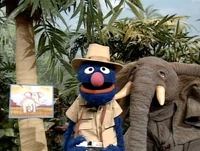 Junglephoto